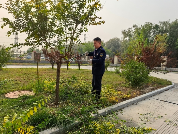 微信图片_20251024110119_1549_187