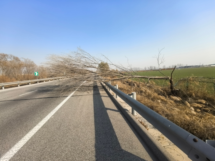 微信图片_20251208094455_1546_179