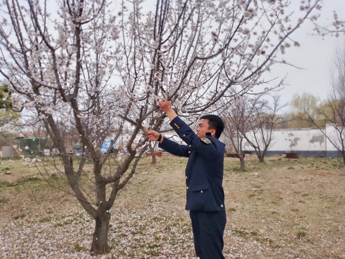 微信图片_20260326104325_347_321